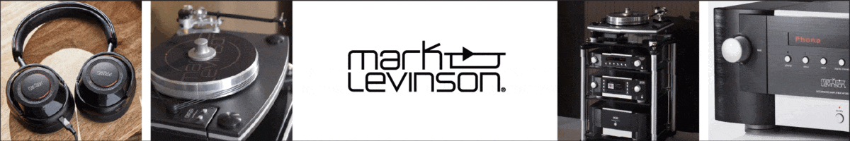 Mark Lenvison